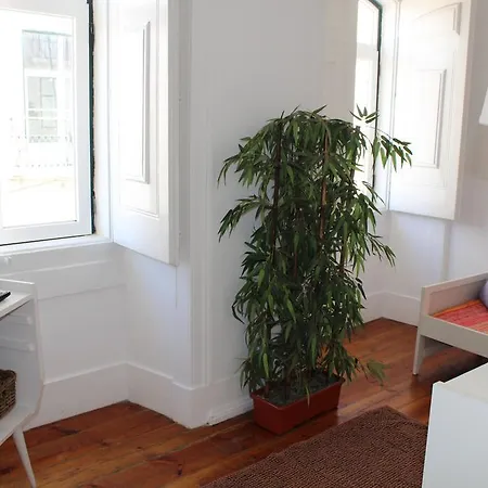 Apartamento Do Adamastor